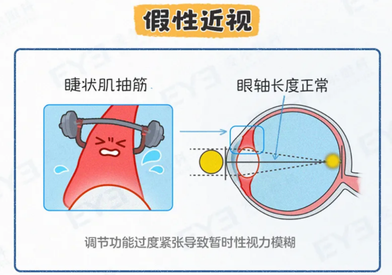 微信图片_20250415103033