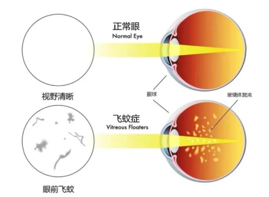 微信图片_2025-08-29_140930_726