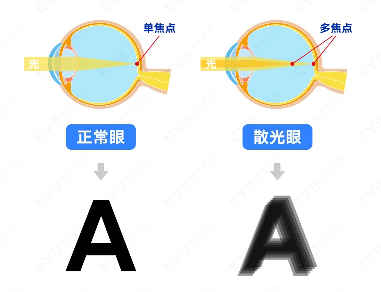 微信图片_2025-09-12_102925_000