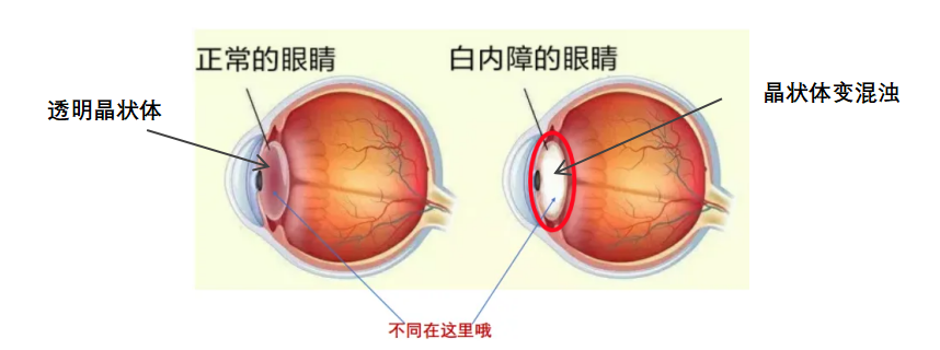 微信图片_2025-10-23_151659_437 微信图片_2025-10-23_151659_437