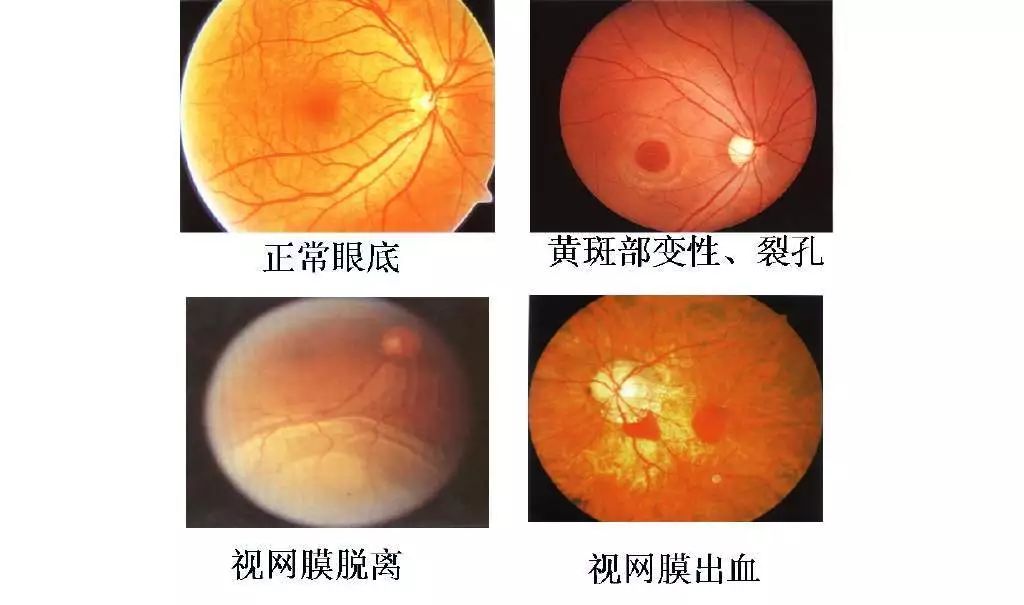 微信图片_2025-10-04_150641_356