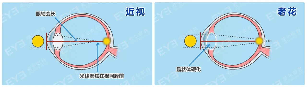 微信图片_2025-10-31_102753_064