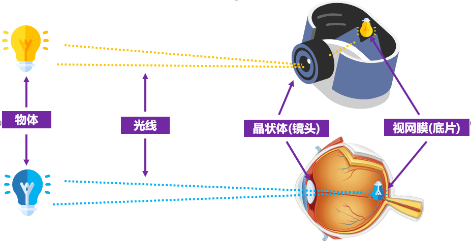 微信图片_2025-10-23_151243_262 微信图片_2025-10-23_151243_262