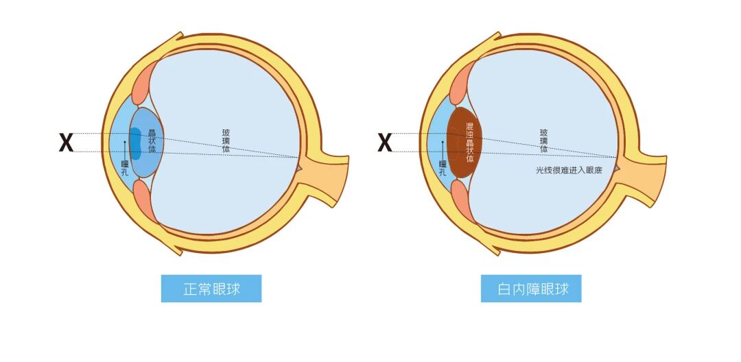 微信图片_2025-10-23_151116_459 微信图片_2025-10-23_151116_459