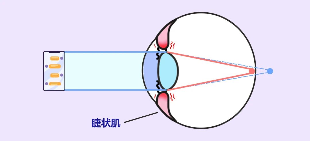 微信图片_2025-10-16_151408_561