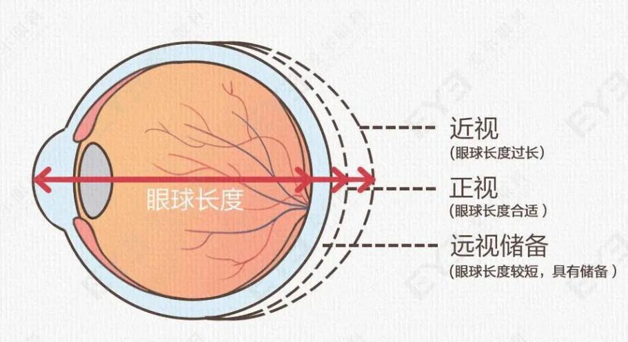 微信图片_2025-11-16_100843_253 微信图片_2025-11-16_100843_253