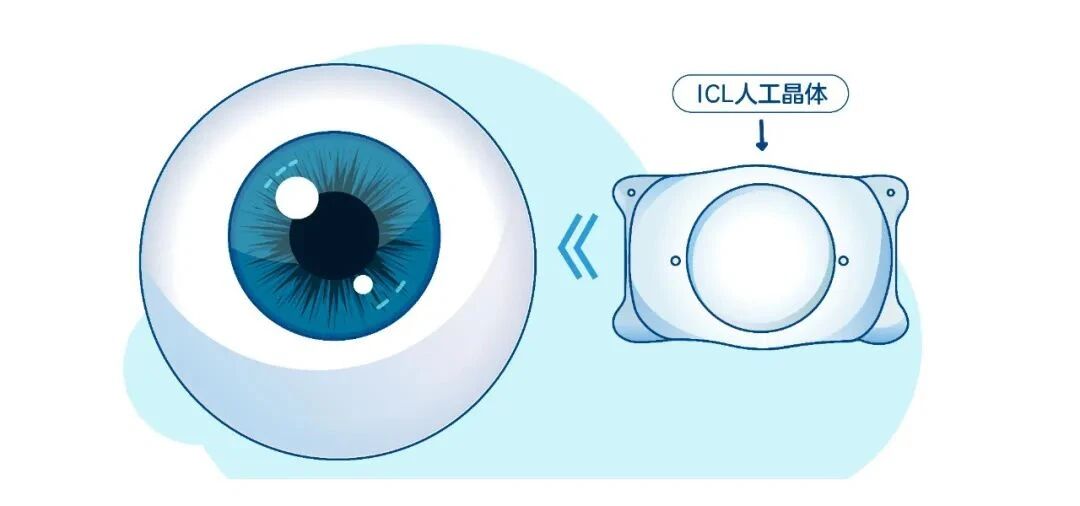微信图片_2025-12-11_142622_948