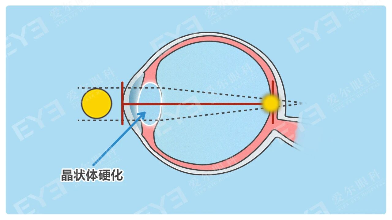 微信图片_2026-01-07_094613_354