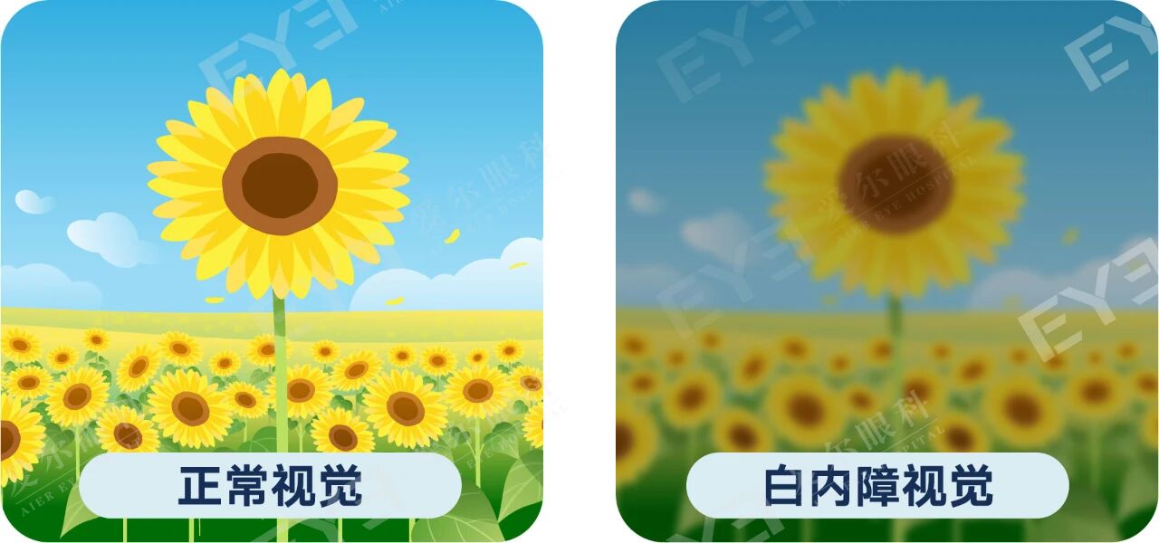 微信图片_2026-01-07_094815_904